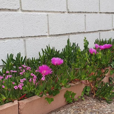 بيت للعطل Lempicka - Jolie Maison, Jardin, Parking Prive لا غراند موت